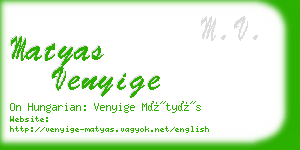 matyas venyige business card